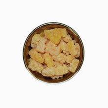 Load image into Gallery viewer, CBD GINGER GUMMIES + RECOVERY
